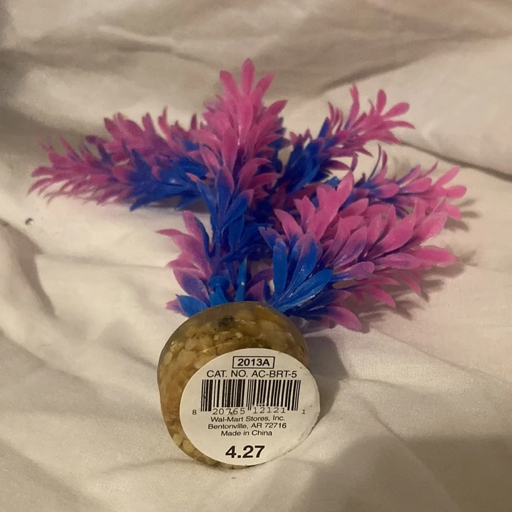 Pink and blue aquarium plants